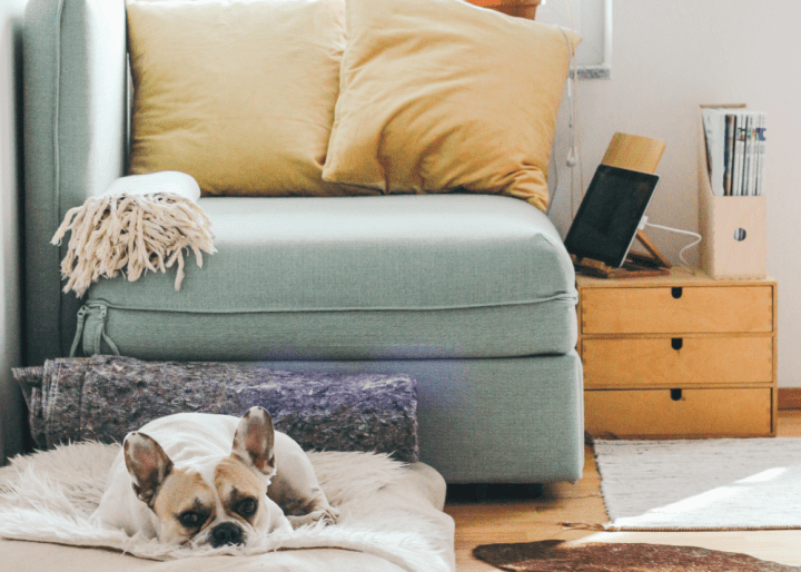 chegou-nova-categoria-serviços-domesticos