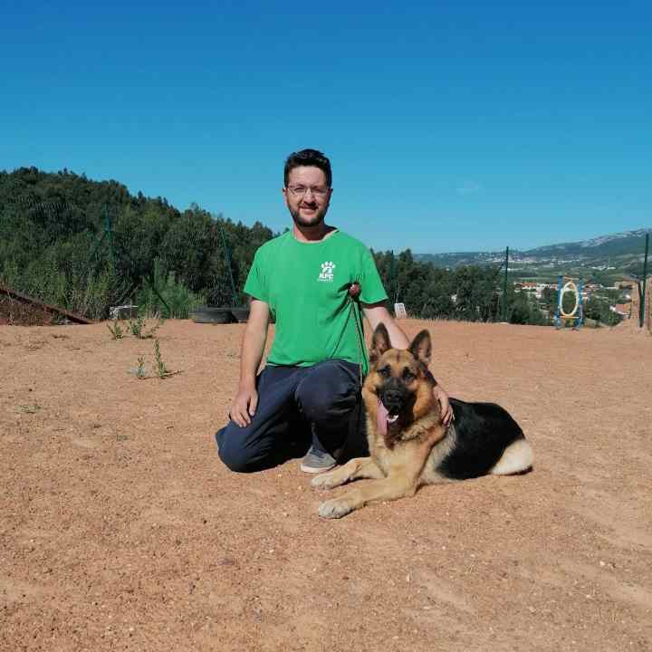 A IMPORTÂNCIA DA EDUCAÇÃO&nbsp;CANINA